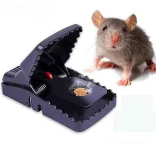 Rat Trap Mouse - BD Drop