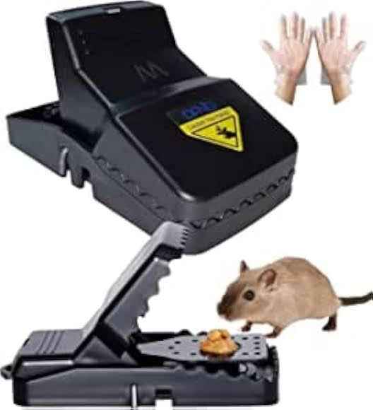 Rat Trap Mouse - BD Drop